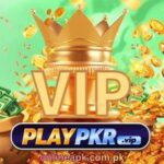 PLAYPKR Game